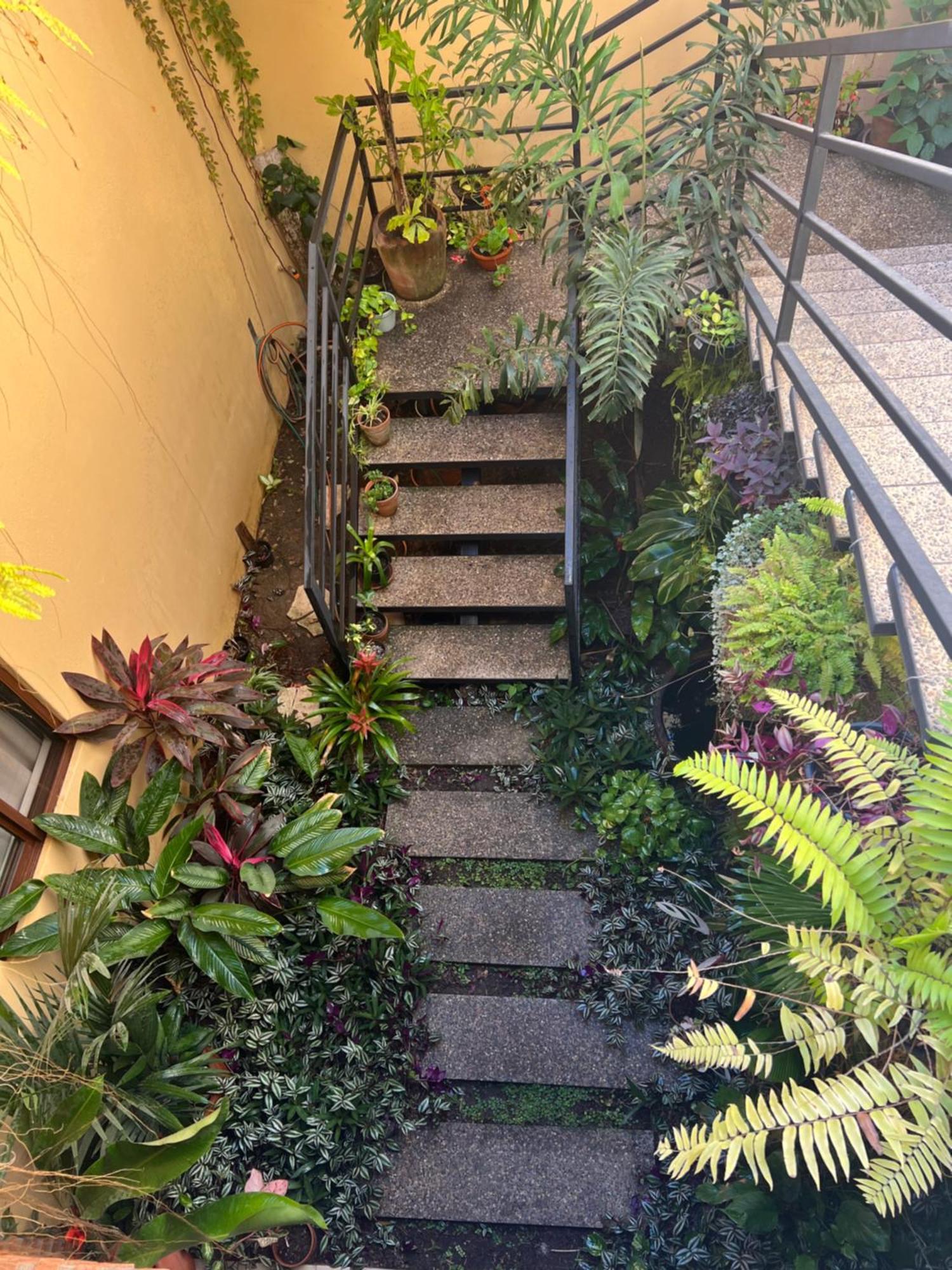 Casa Botanica Hotel Lo de Marcos Exterior photo